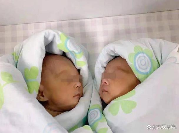 代生孩子生了双胞胎公司-双胞胎公司:代生孩子的新选择
