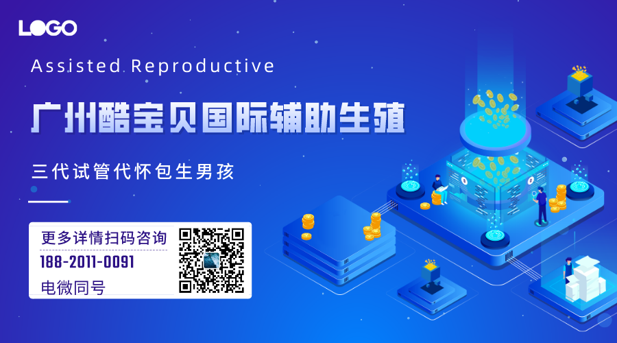 代生代怀公司-代生代怀公司:传承与创新