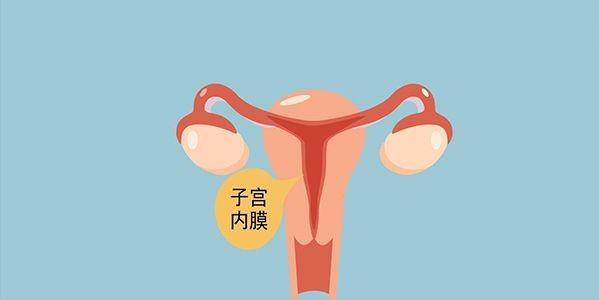 试管婴儿检查中子宫内膜ABC型是什么意思【试管婴儿检查:解读中子宫内膜ABC型】