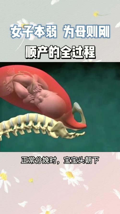 代生孩子过程(代生孩子:生命的传递与奇迹)