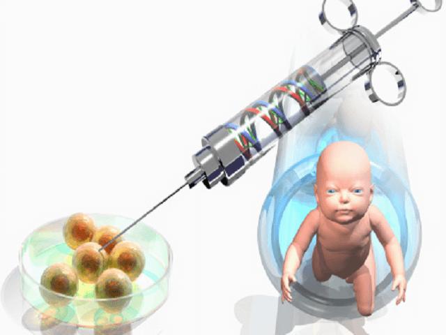 试管婴儿能包生男孩吗_试管婴儿能包生男孩吗?科学家揭秘真相