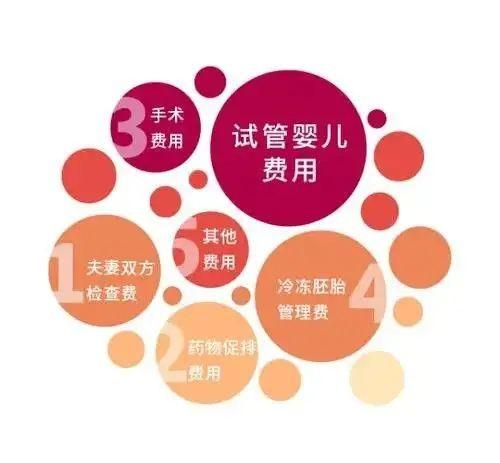 试管助孕-试管助孕:科技助力实现生育梦